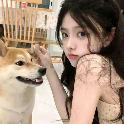 玫瑰炒肉丝 海报